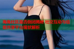 海角社区是否倒闭揭秘 社交互动与信息共享平台现状解析