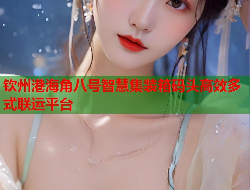 钦州港海角八号智慧集装箱码头高效多式联运平台  第1张