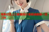 海角社区人口数量统计表精准数据一目了然