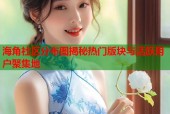 海角社区分布图揭秘热门版块与活跃用户聚集地