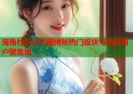 海角社区分布图揭秘热门版块与活跃用户聚集地