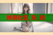 琳琅社区_东_西