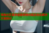 海角社区登录速度缓慢问题及优化解决方案探讨