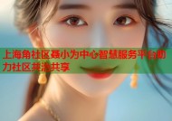 上海角社区聂小为中心智慧服务平台助力社区共治共享