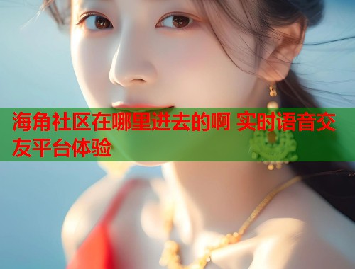 海角社区在哪里进去的啊 实时语音交友平台体验  第1张