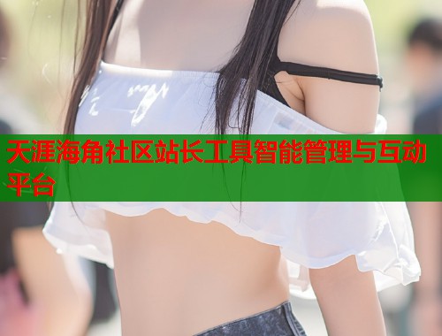 天涯海角社区站长工具智能管理与互动平台  第1张