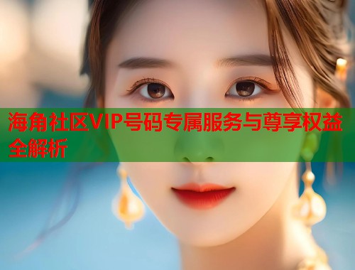 海角社区VIP号码专属服务与尊享权益全解析  第2张
